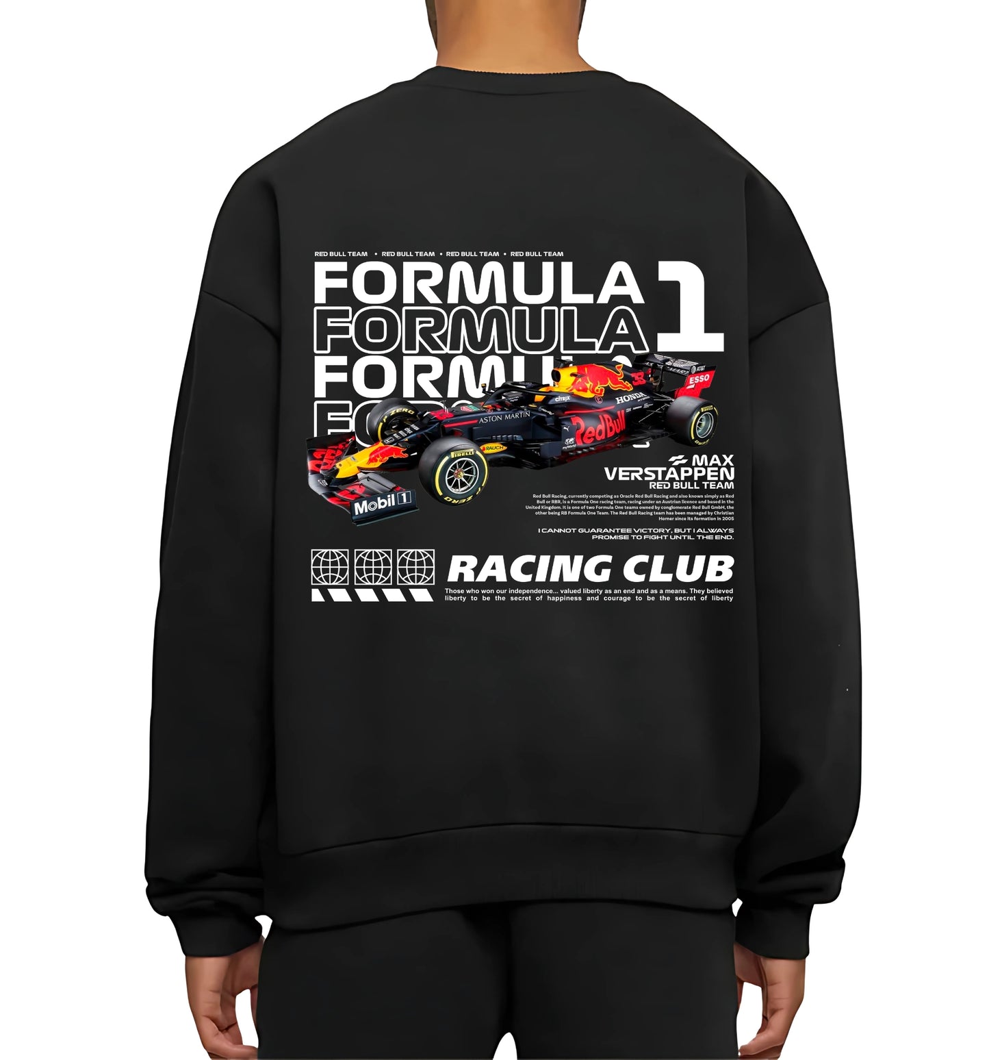 RED BULL FORMULA 1