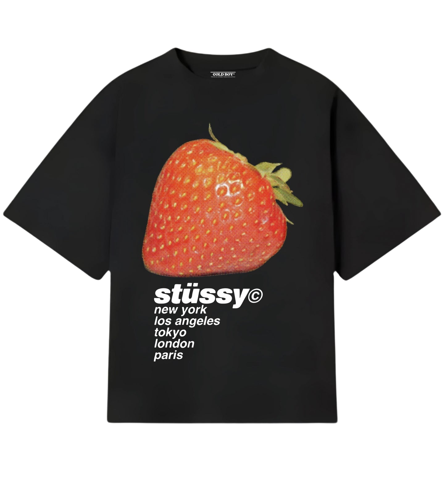 STUSSY V2