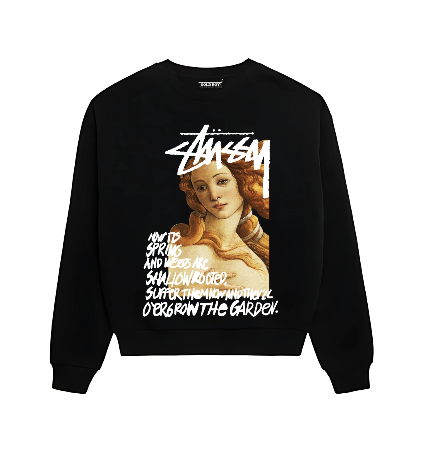 STUSSY V6