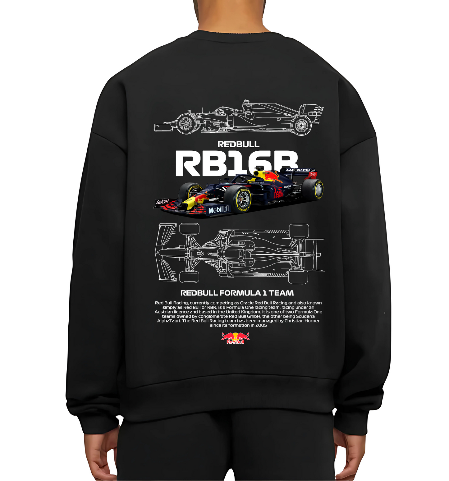 RED BULL RB16R