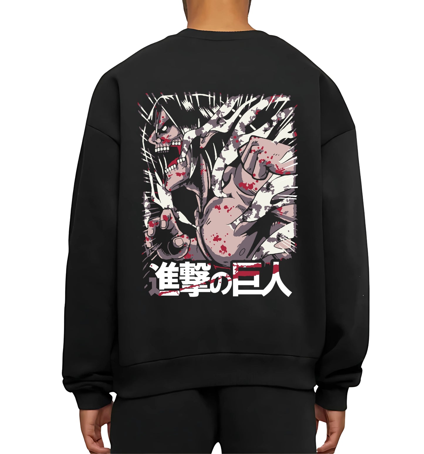 ATTACK ON TITAN V25
