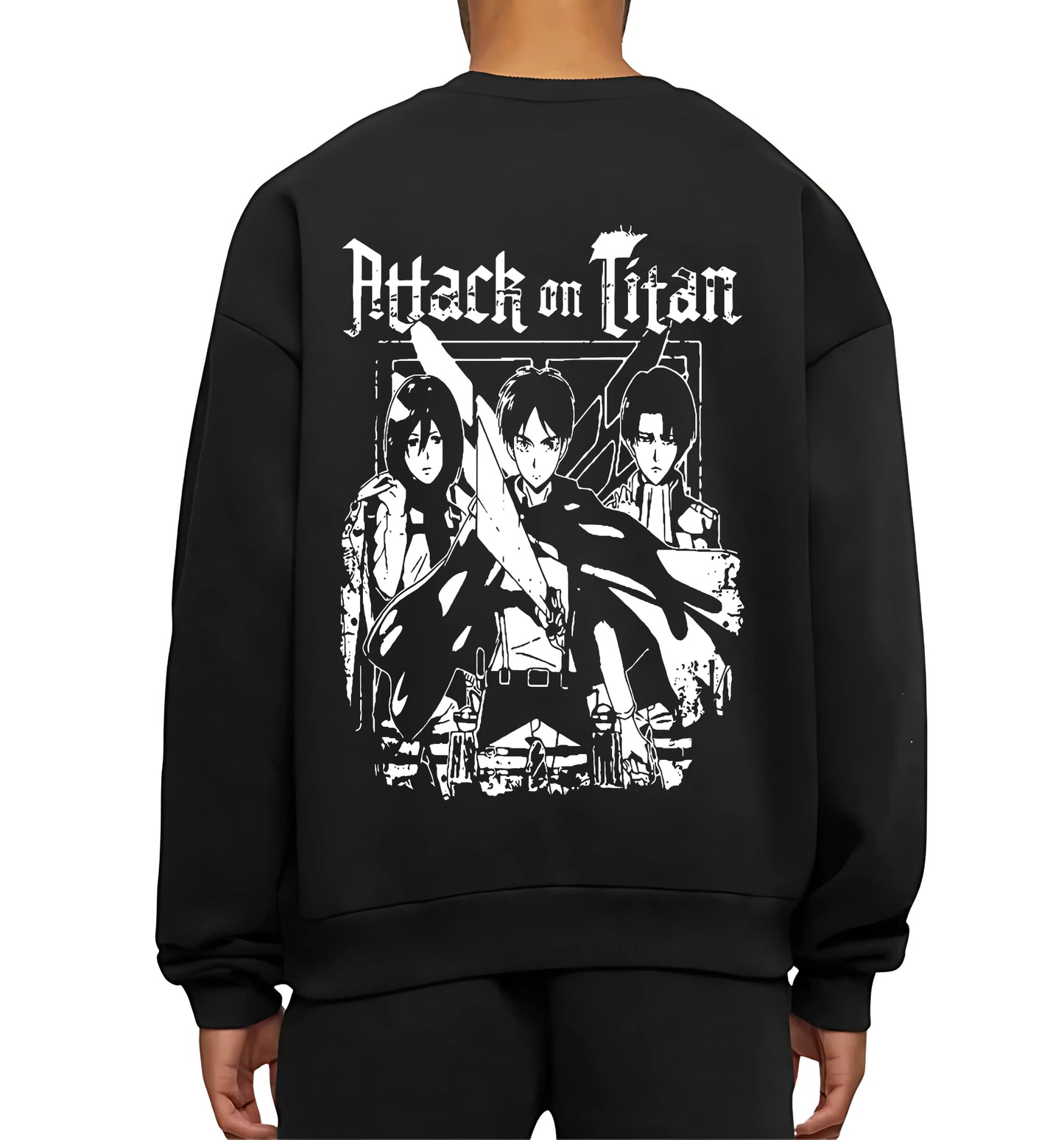 ATTACK ON TITAN V13