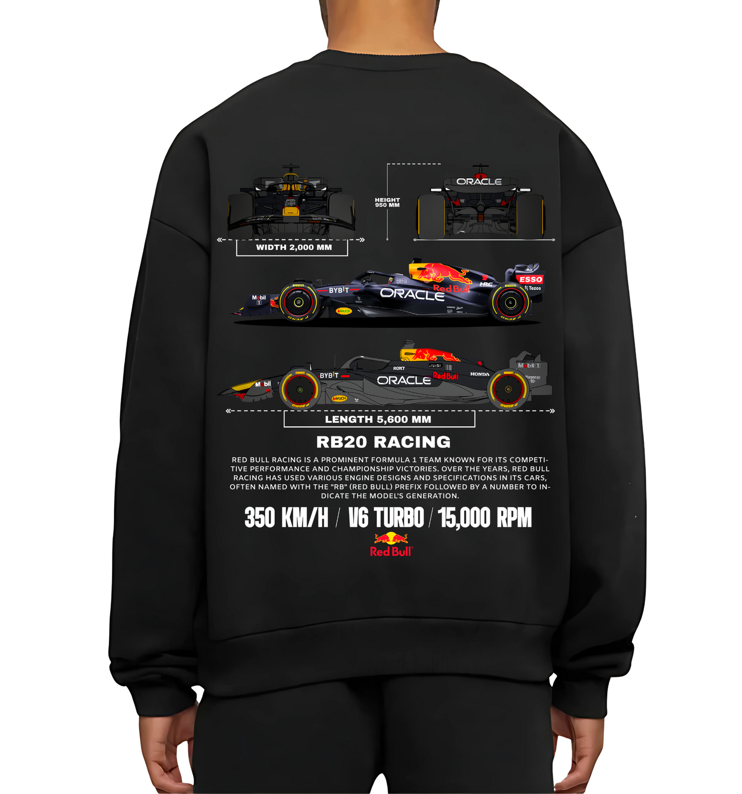 RED BULL RB20 RACING