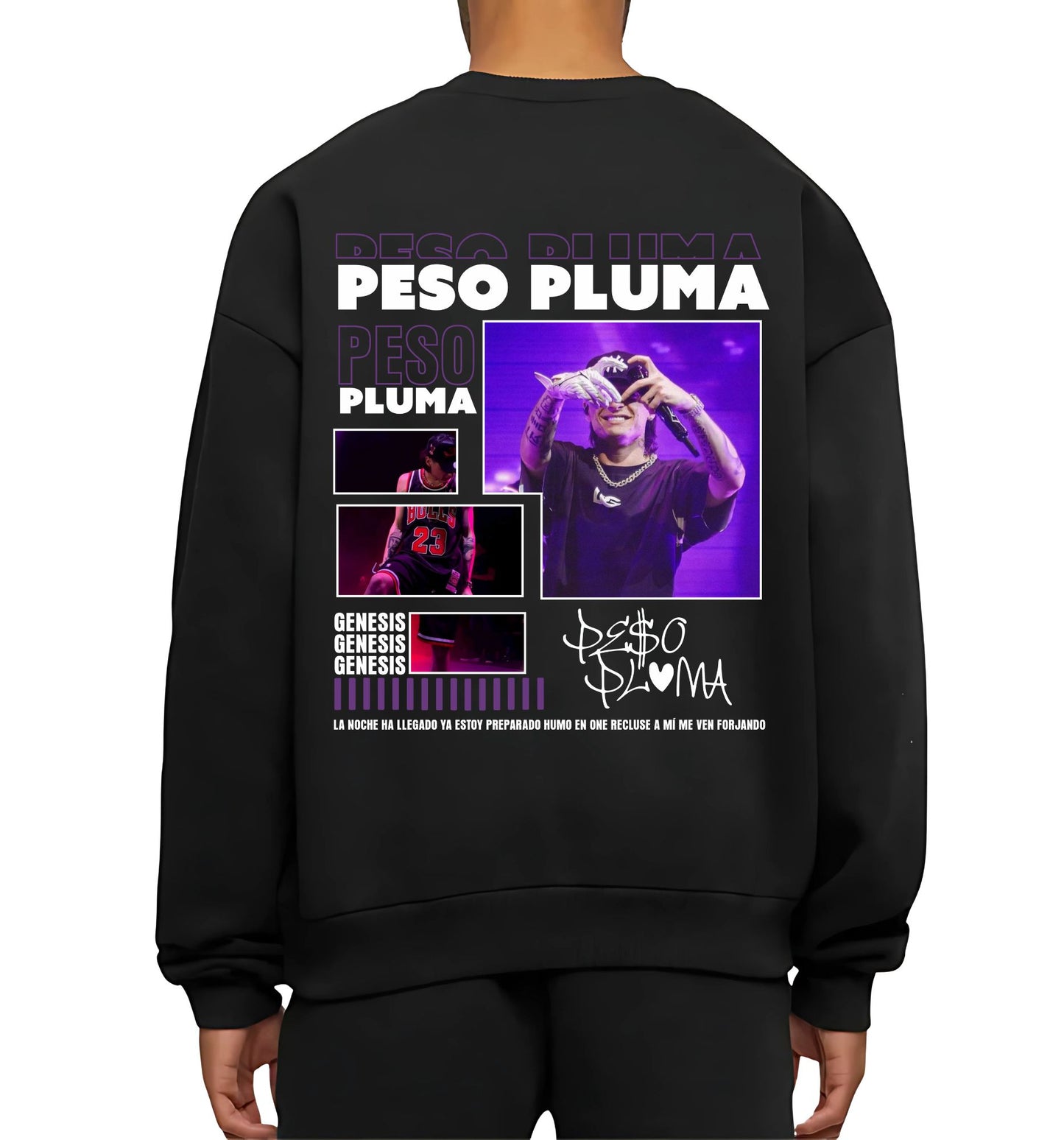 PESO PLUMA V26