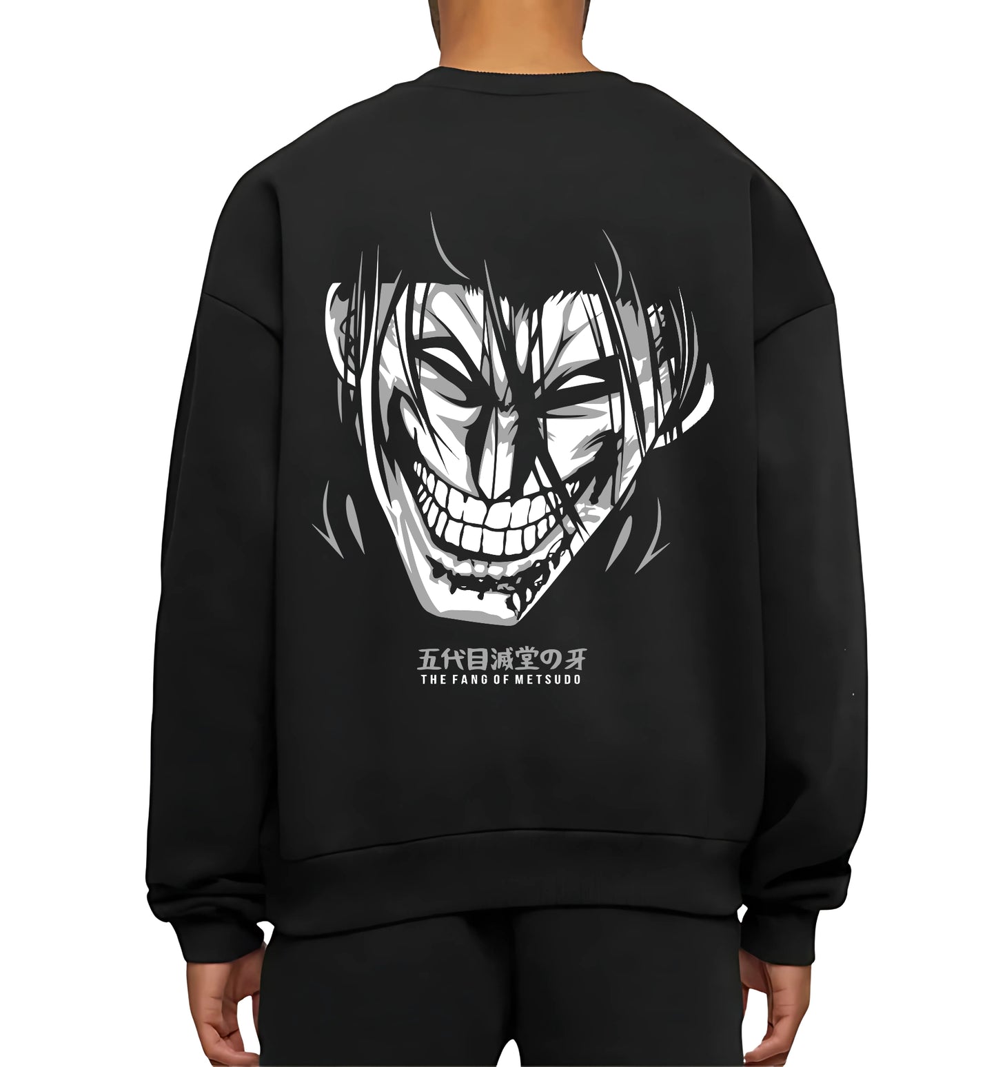 ATTACK ON TITAN V10