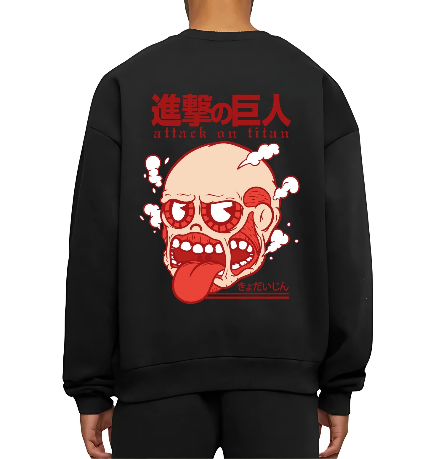 ATTACK ON TITAN V5