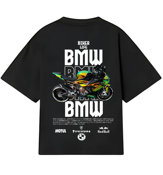 BMW S1000RR 2009 CROMADO