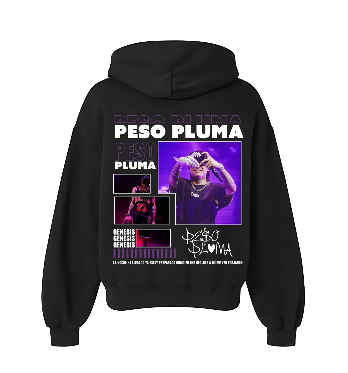 PESO PLUMA V26