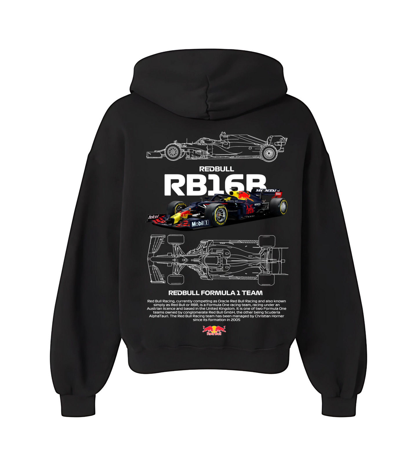 RED BULL RB16R