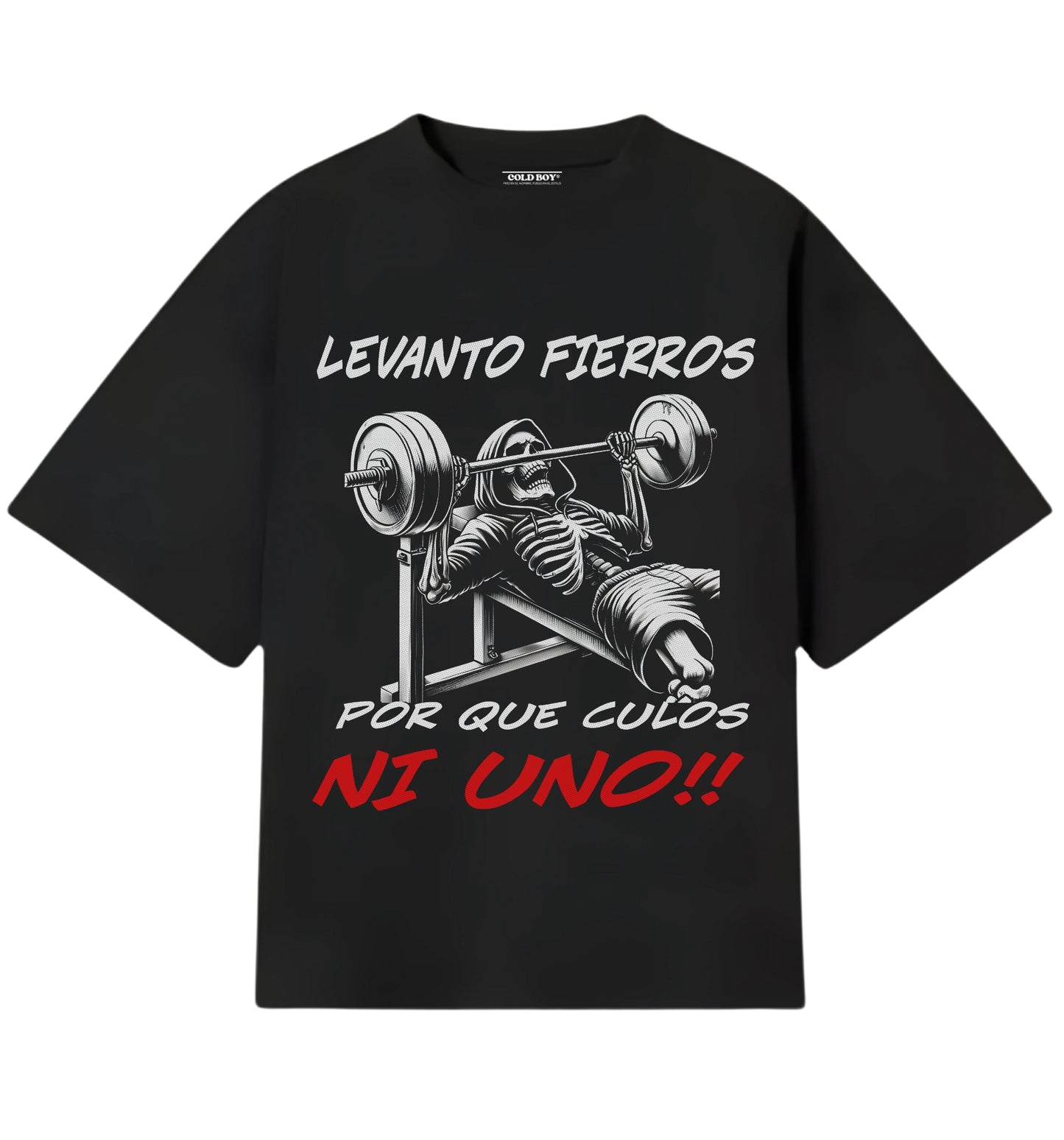LEVANTO FIERROS